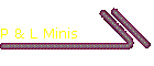 P&L Minis