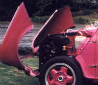 ABSMiniCloseUp.jpg (304193 bytes)