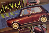 Suzi 7.JPG (325500 bytes)